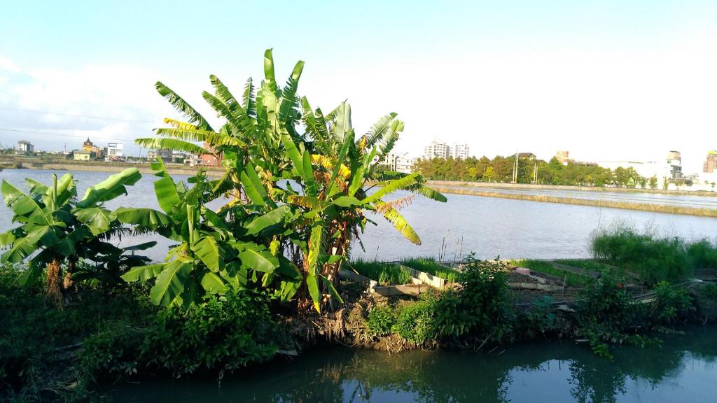 麵包樹民宿 (Breadtree Homestay)