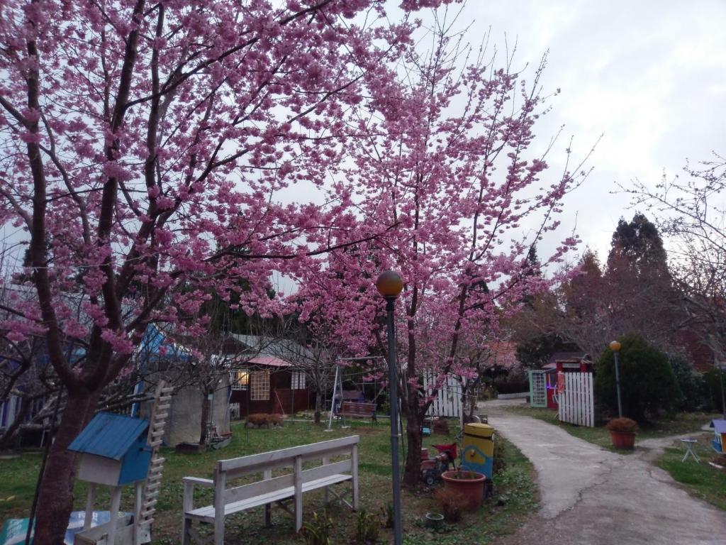 拉拉山桃山渡假農場