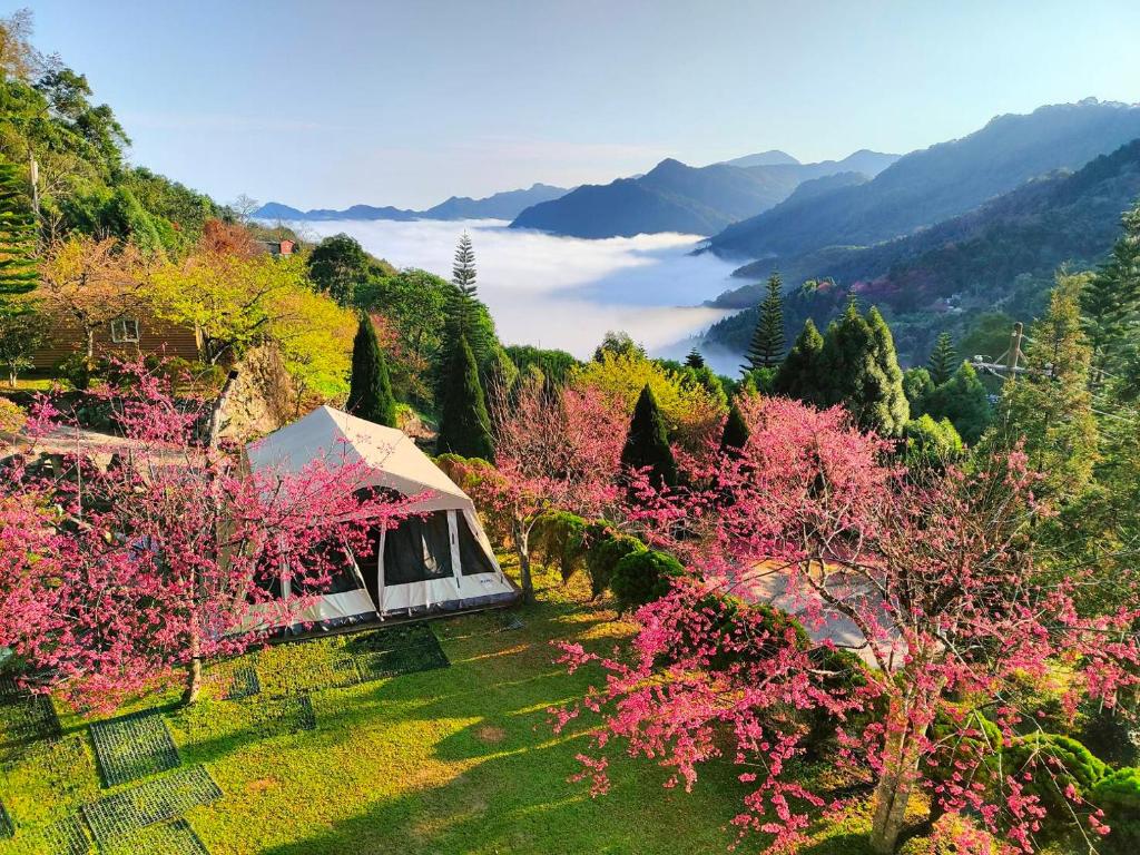 馬胎仙境