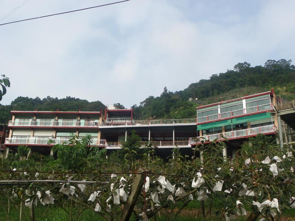大雪山莊園民宿 (King Villa)