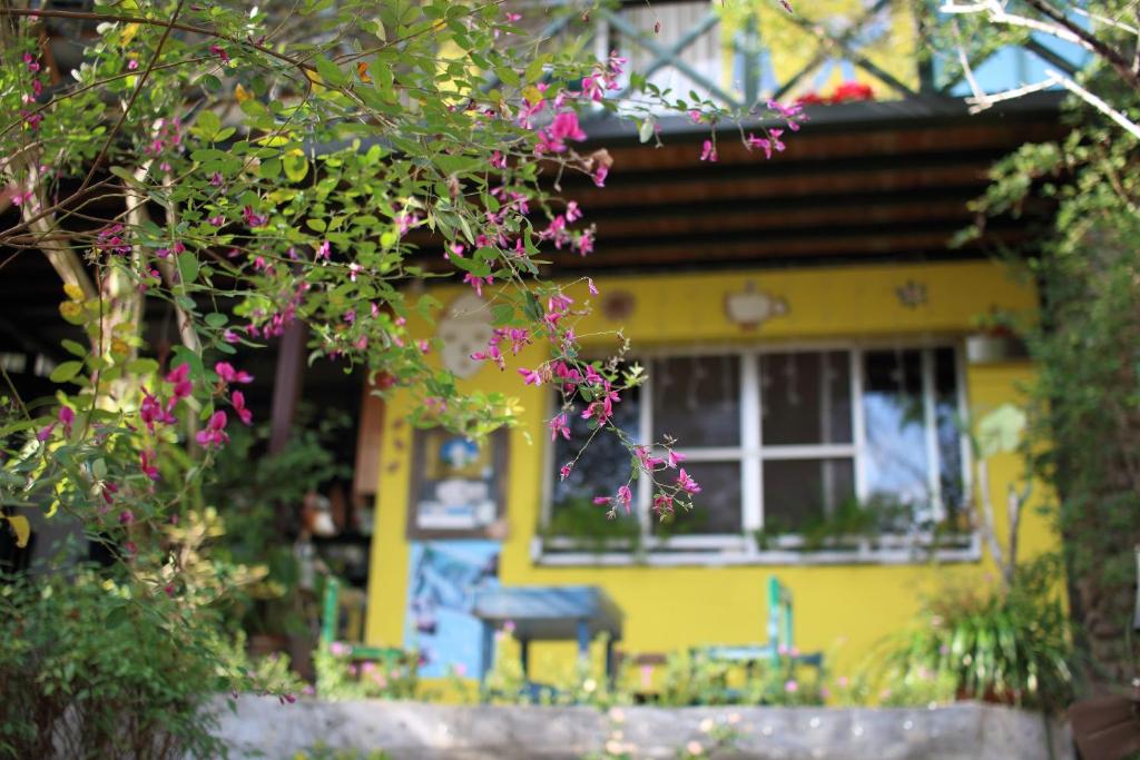 老農夫山莊 (Old Farmer Homestay)