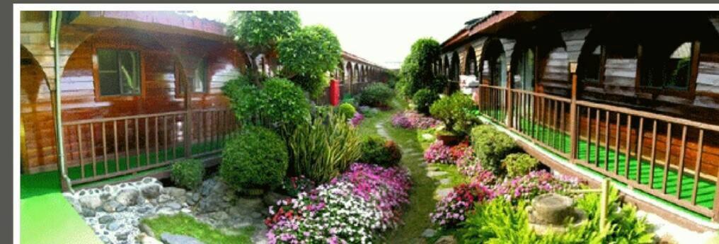 龍星花園度假木屋 (Taitung Garden Cabin)