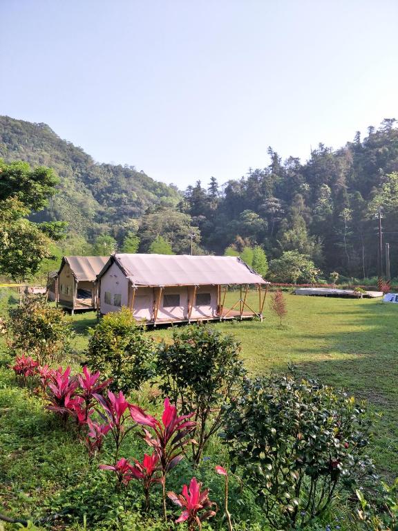 旅人山泉農場 (Traveller Mountain Spring Farm)